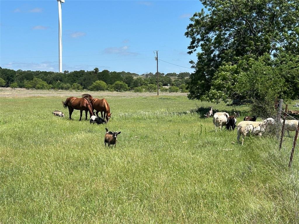 Farm Ranch in Goldthwaite, Texas, United States 2 - 18013816
