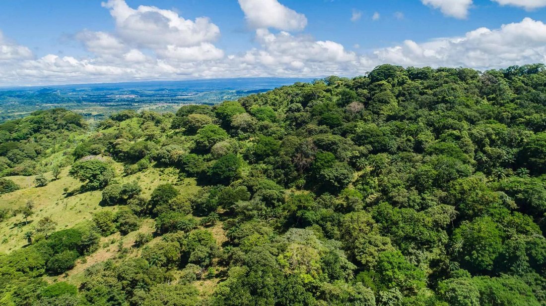 Land in Las Lomas, Chiriquí Province, Panama 4 - 18013887