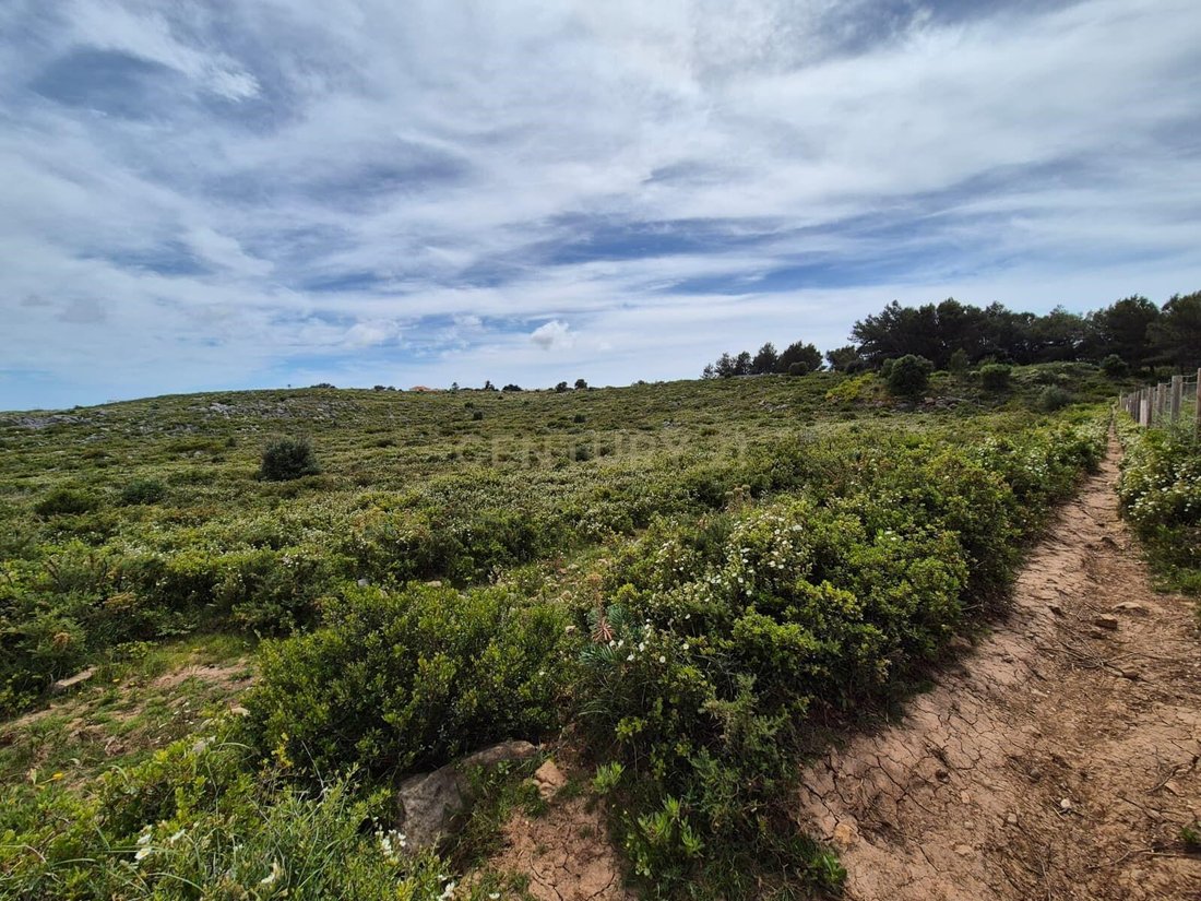 Land in Alcabideche, Lisbon, Portugal 3 - 18014218
