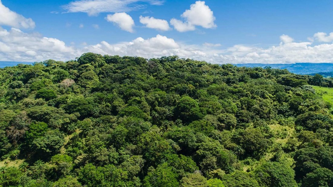 Land in Las Lomas, Chiriquí Province, Panama 5 - 18013887