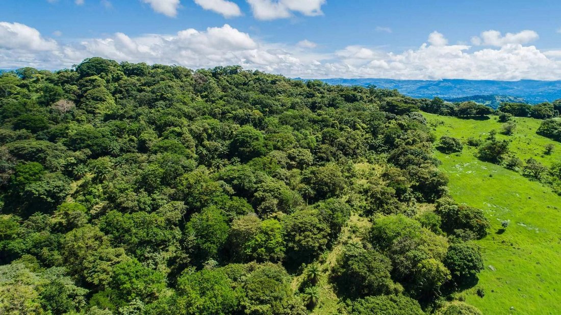 Land in Las Lomas, Chiriquí Province, Panama 3 - 18013887
