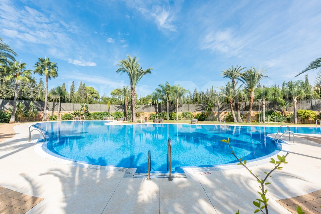 Apartment in Nueva Andalucia, Marbella, Spain 2 - 16891813