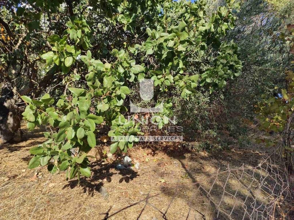 Land in Kifisia, Attica, Greece 2 - 18014998