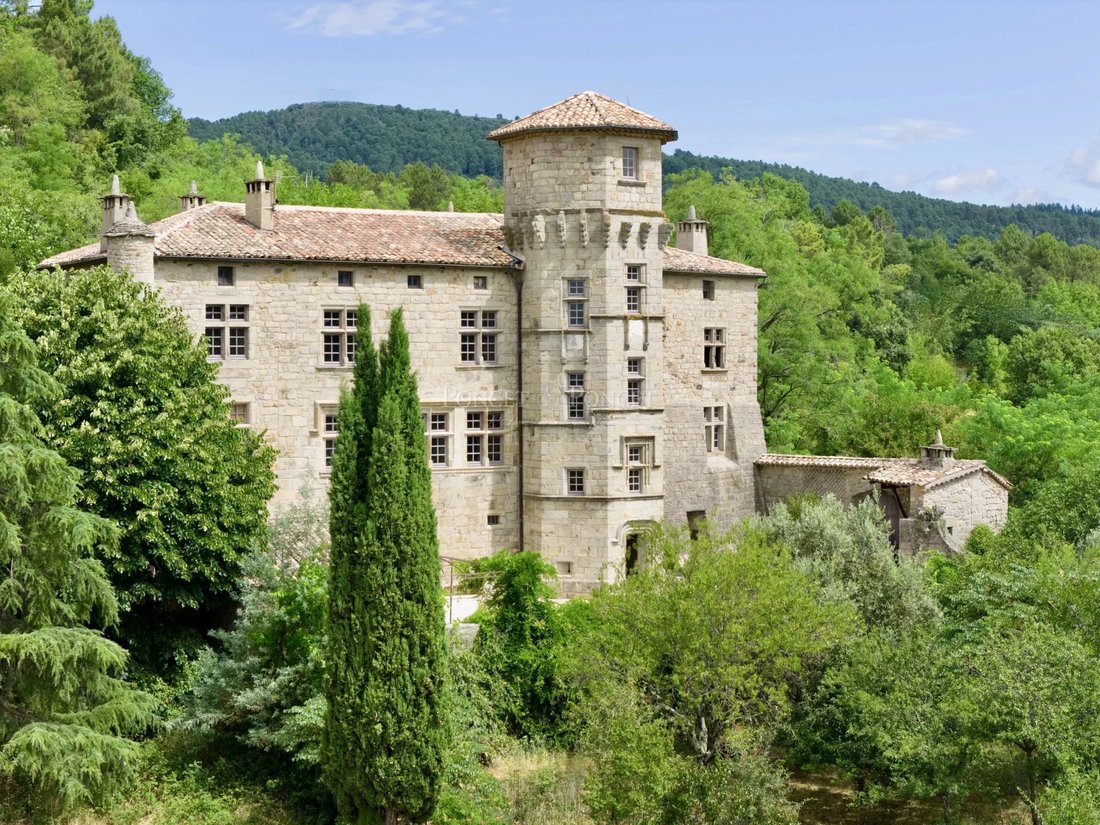 Chateau in Joyeuse, Auvergne-Rhône-Alpes, France 2 - 16156944