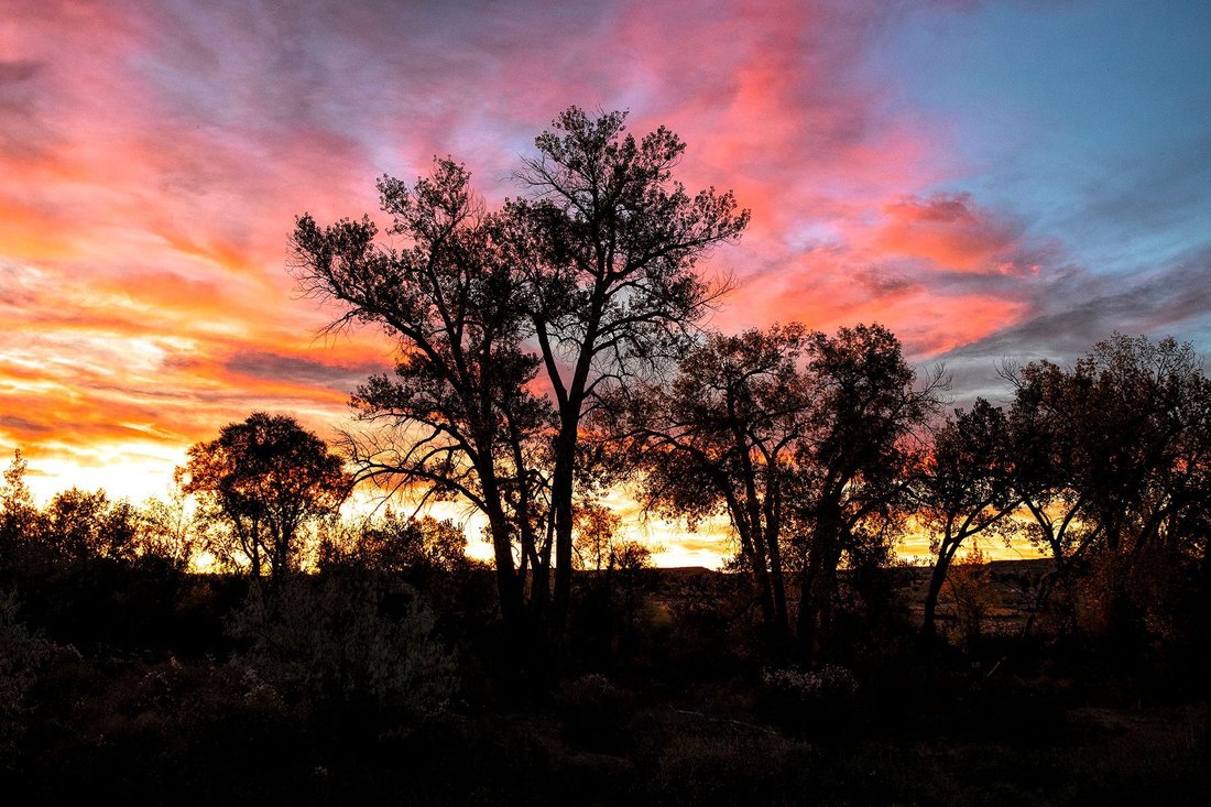 Riverton, Wyoming, United States 5 - 18014587