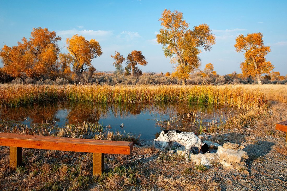 Riverton, Wyoming, United States 4 - 18014587