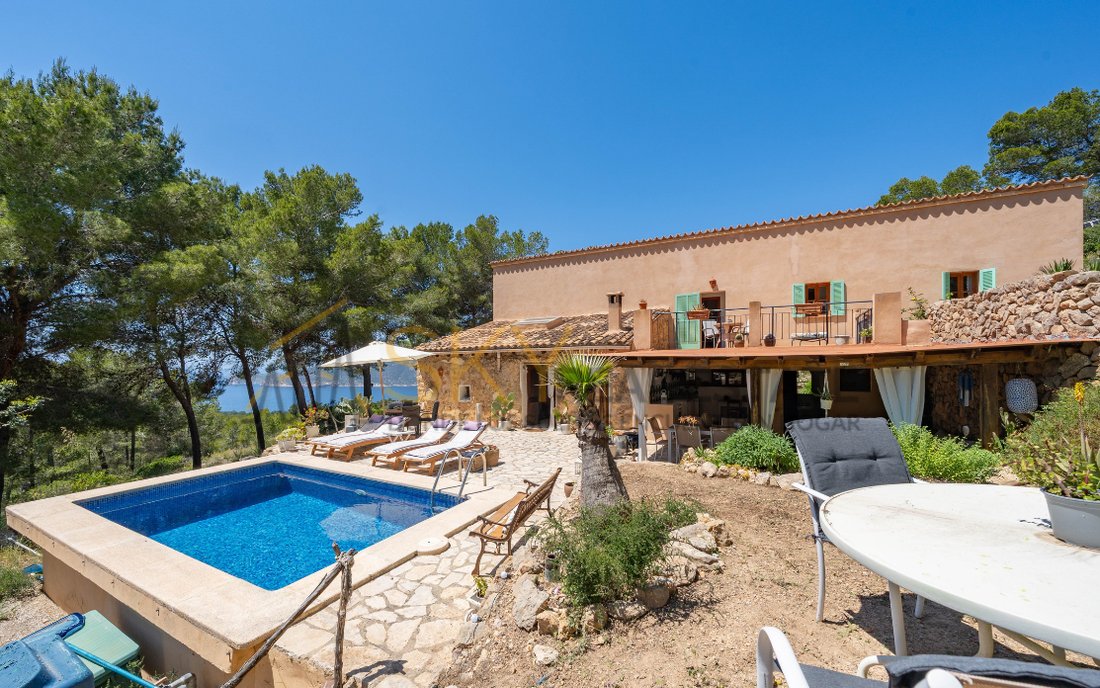 Villa in Andratx, Balearic Islands, Spain 3 - 18015291