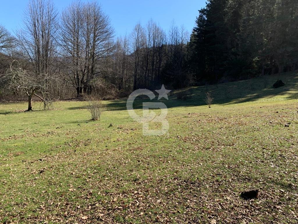 Land in Pucón, Araucania, Chile 5 - 18015259