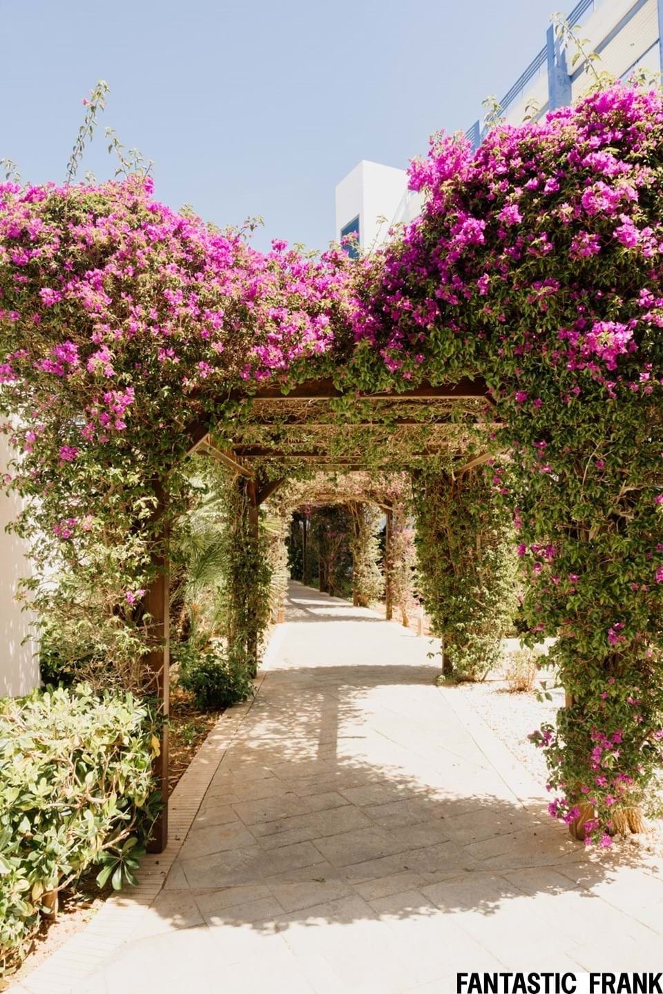 Apartment in Santa Eularia des Riu, Balearic Islands, Spain 2 - 18015152