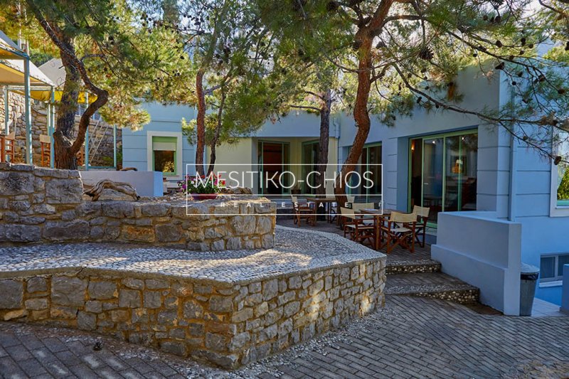 Chios, Aegean, Greece 5 - 18015066