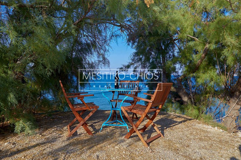 Chios, Aegean, Greece 3 - 18015066