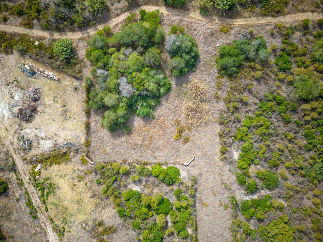 Land in Sotogrande, San Roque, Andalusia 3 - 12331662