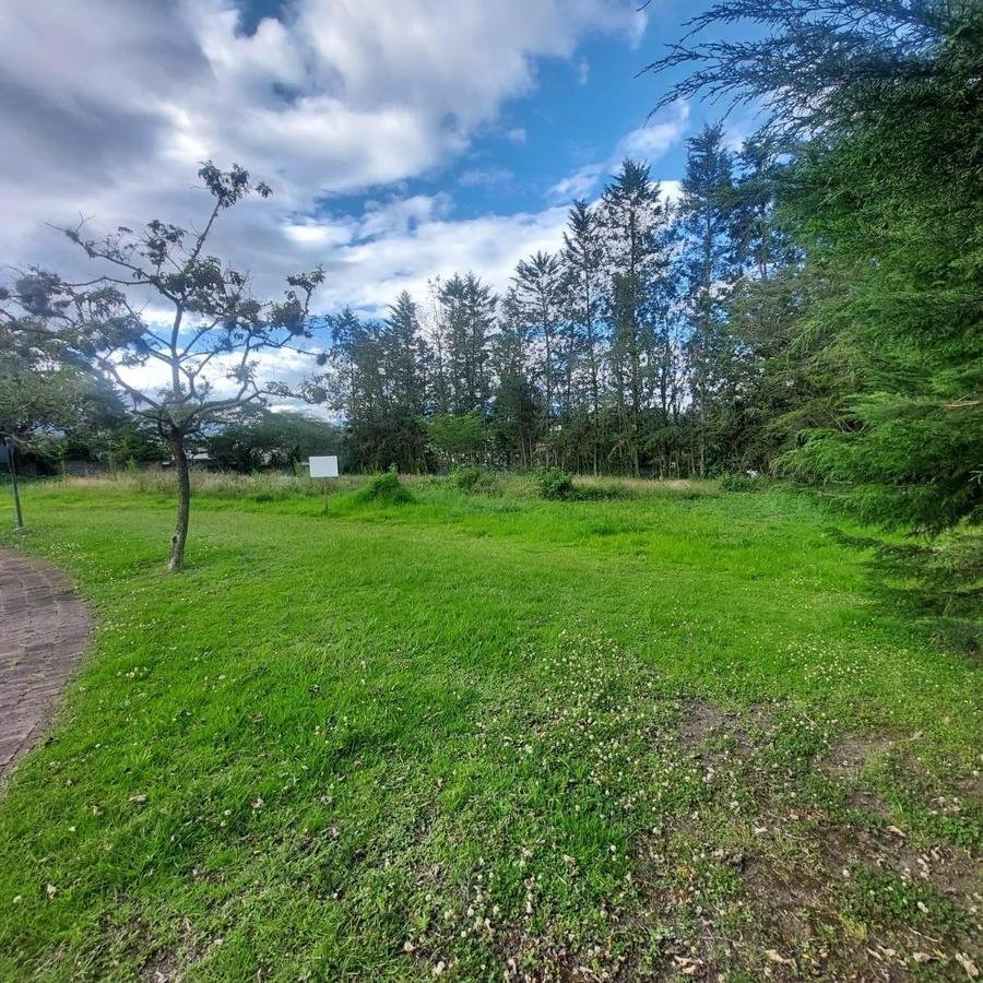 Land in Quito, Pichincha, Ecuador 5 - 18016755