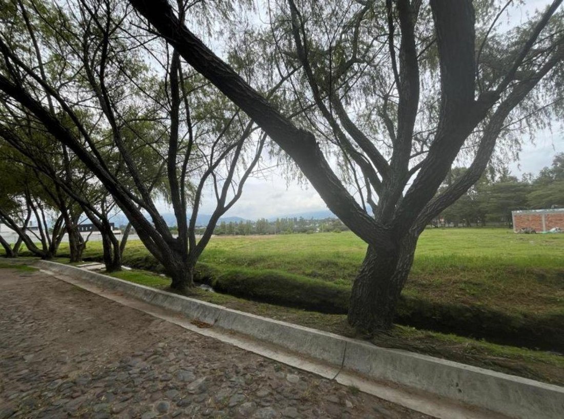Land in Quito, Pichincha, Ecuador 1 - 18016779