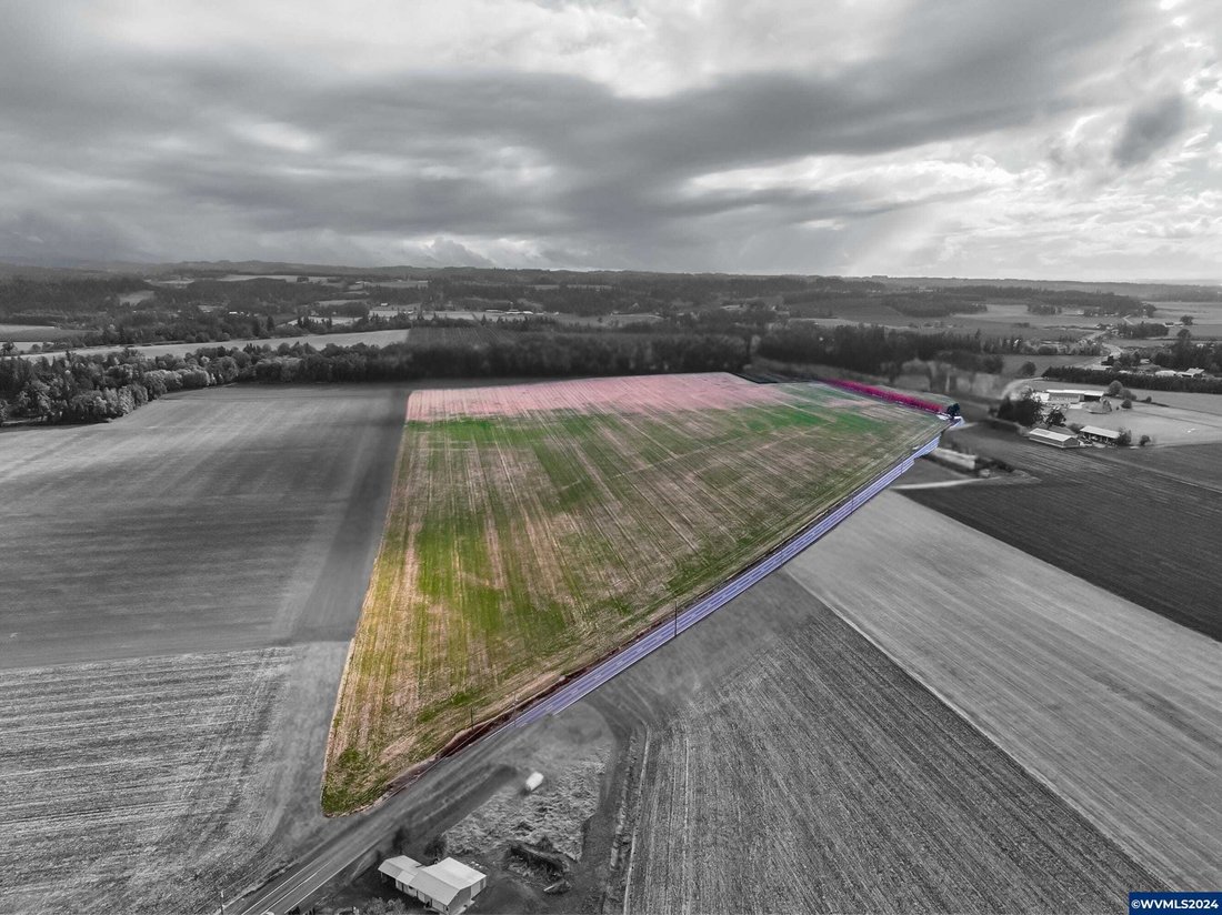 Land in Mount Angel, Oregon, United States 3 - 18020708