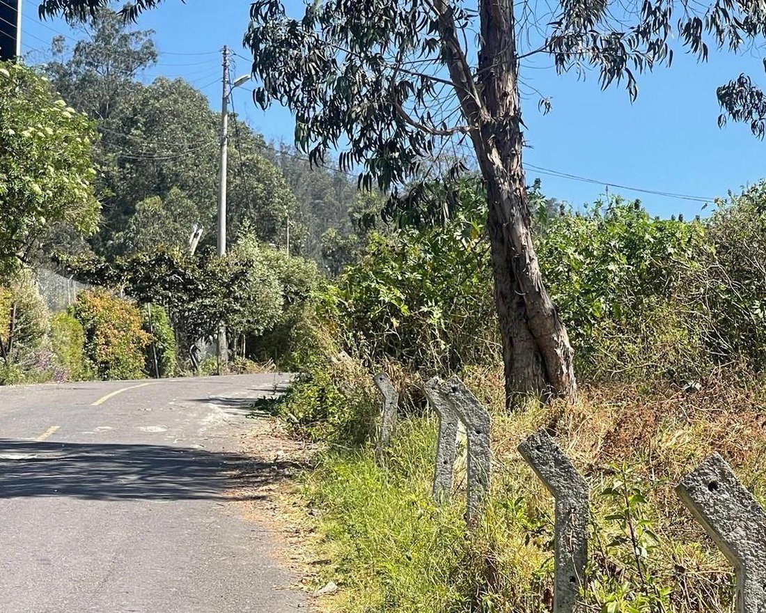 Land in Quito, Pichincha, Ecuador 5 - 18016738