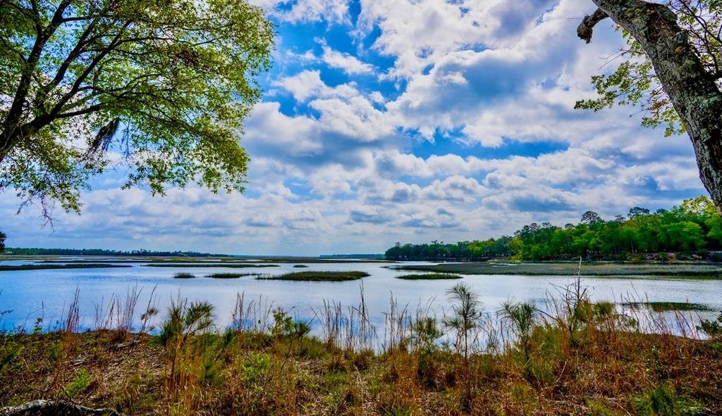 Land in Woodbine, Georgia, United States 1 - 18017569