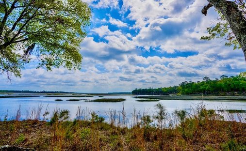 Land in Woodbine, Georgia, United States 1