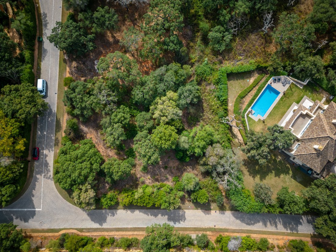 Terreno en Sotogrande, San Roque, Andalucía 2 - 12329588