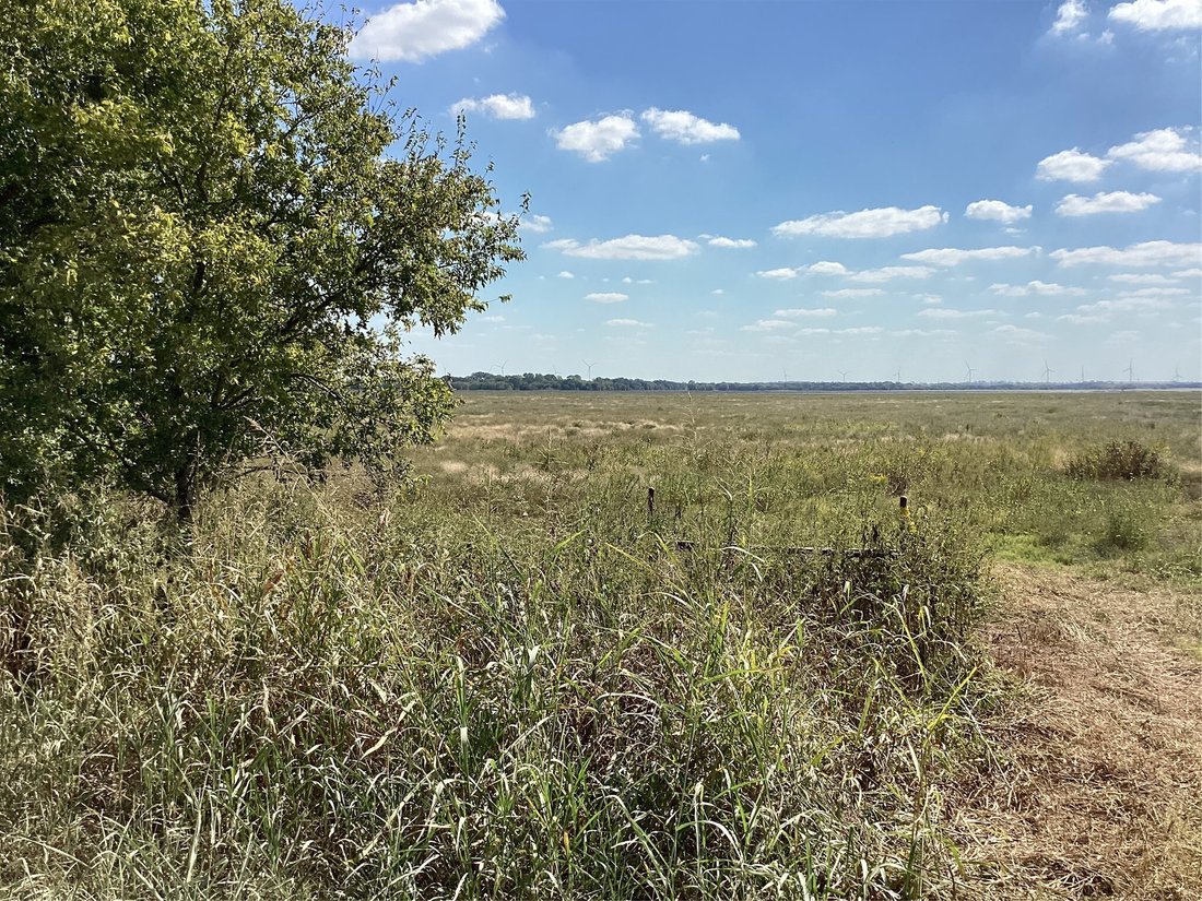 Land in Hubbard, Texas, United States 2 - 16416311