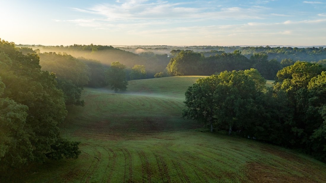 House in Dickson, Tennessee, United States 2 - 18015934