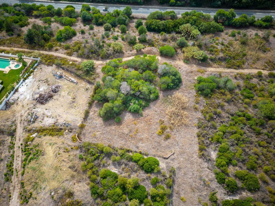 Land in Sotogrande, San Roque, Andalusia 2 - 12331662