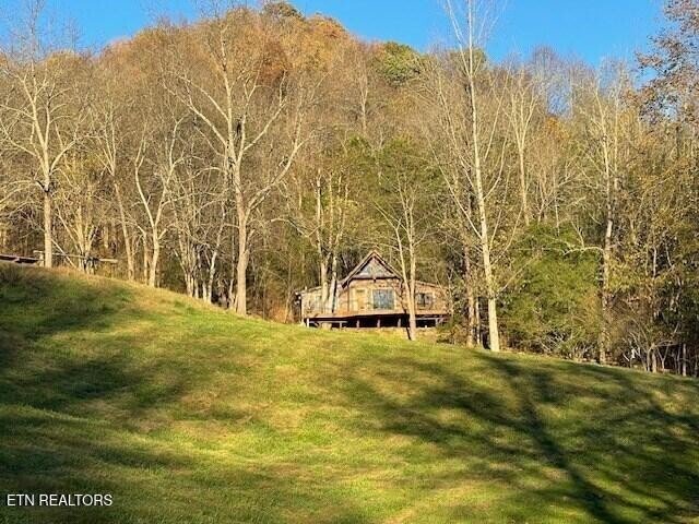 House in Gainesboro, Tennessee, United States 5 - 18015954