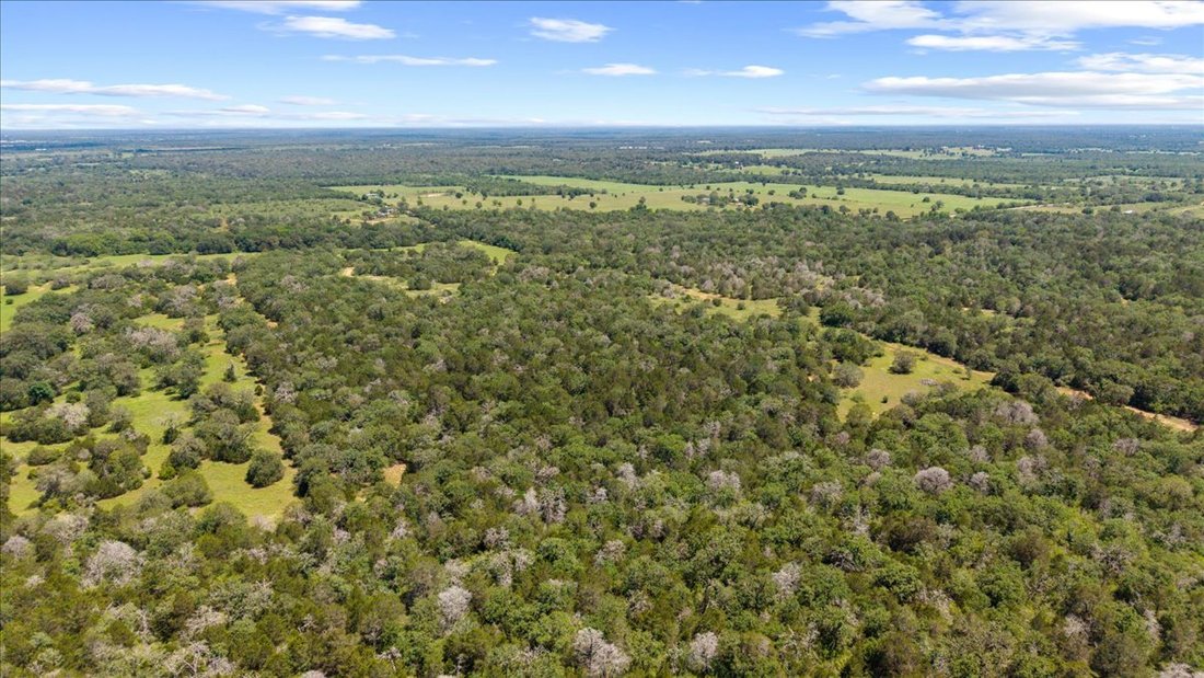 Farm Ranch in Rosanky, Texas, United States 5 - 17068970