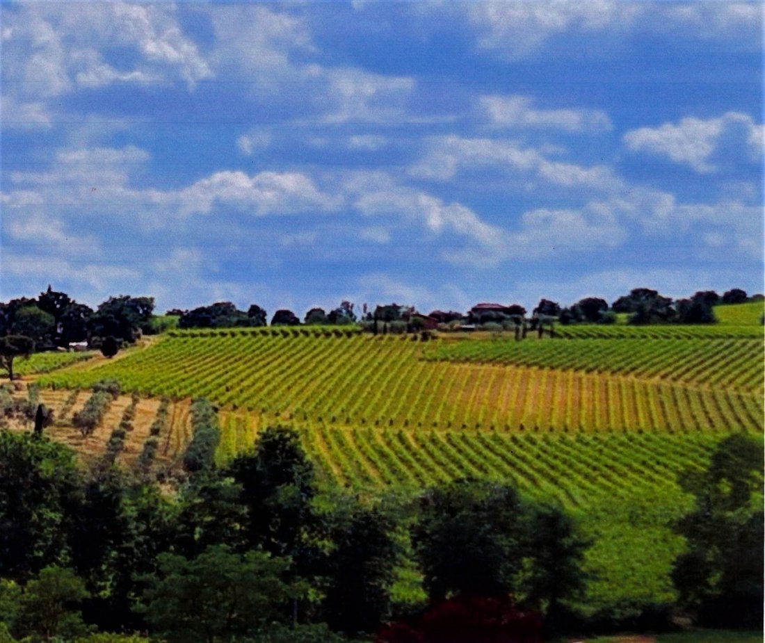 Farm Ranch in Montepulciano, Tuscany, Italy 1 - 18021044