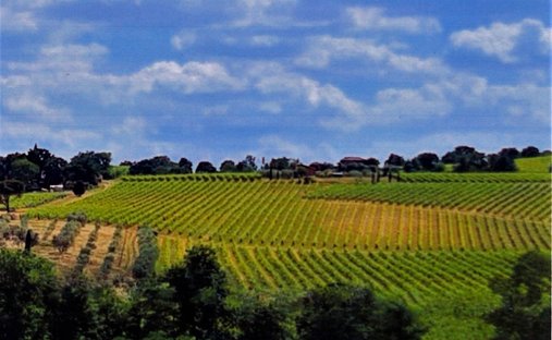 Farm Ranch in Montepulciano, Tuscany, Italy 1