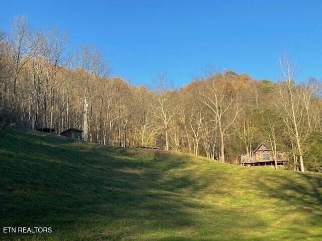 House in Gainesboro, Tennessee, United States 1 - 18015954
