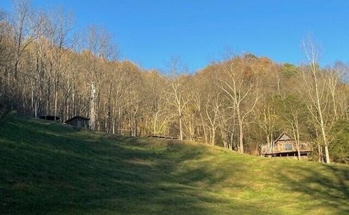 House in Gainesboro, Tennessee, United States 1