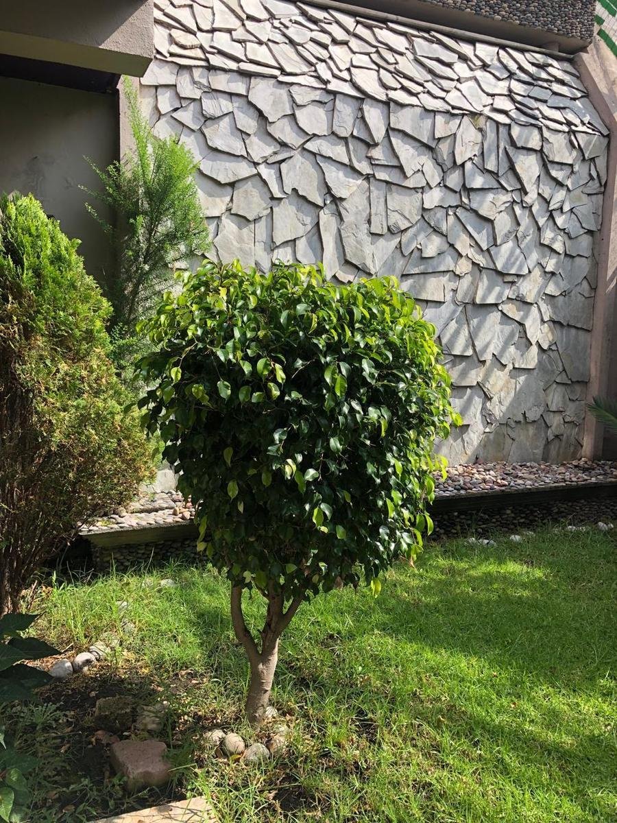 House in Naucalpan de Juárez, State of Mexico, Mexico 5 - 18017339