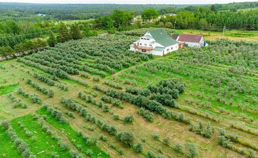 Corps de ferme à Chipman, Nouveau-Brunswick, Canada 1