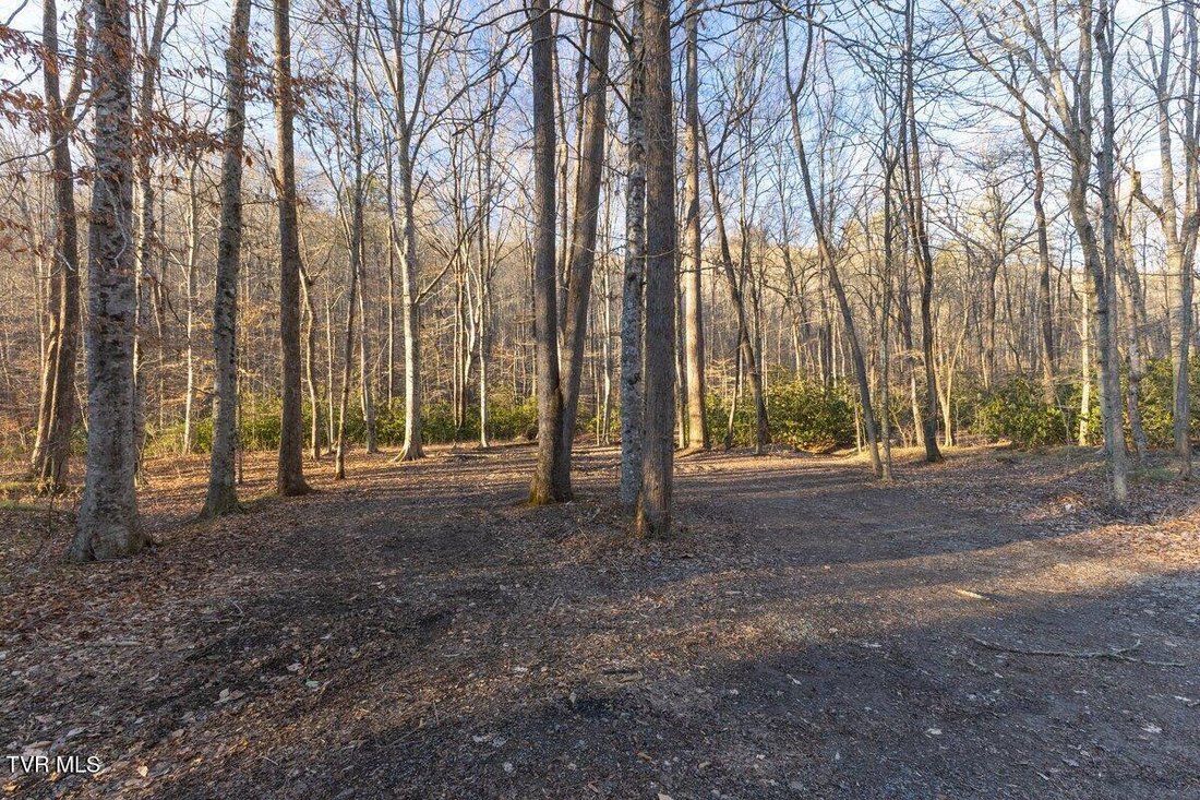 Land in Bean Station, Tennessee, United States 2 - 16945976