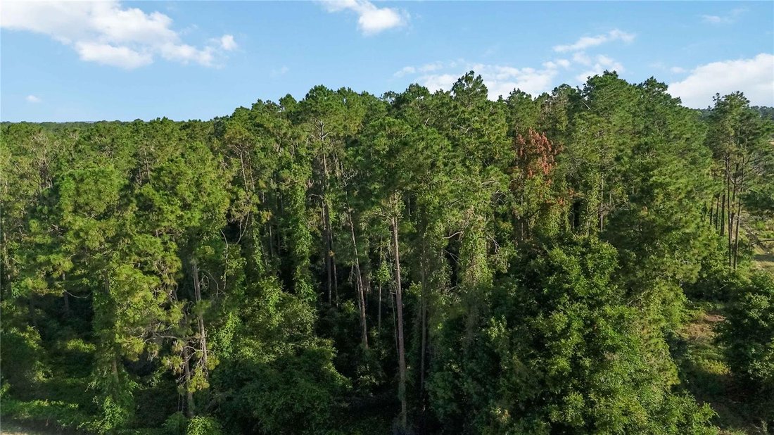 Land in Howey-in-the-Hills, Florida, United States 5 - 18017645