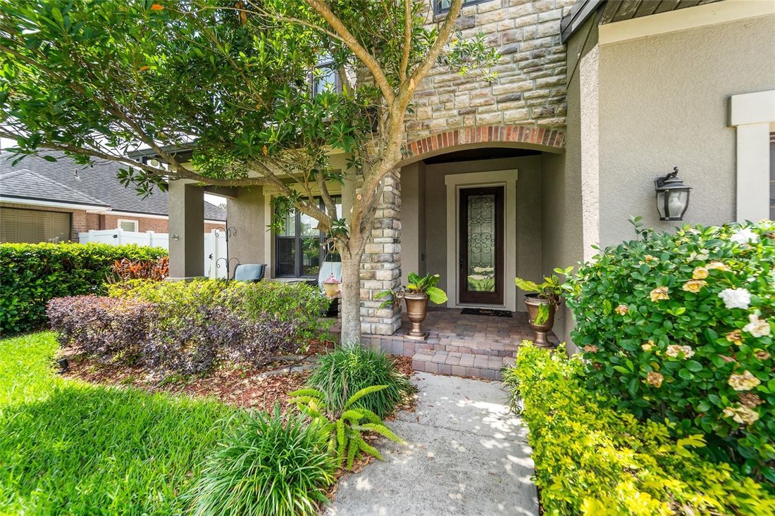 House in Tampa, Florida, United States 3 - 18017538