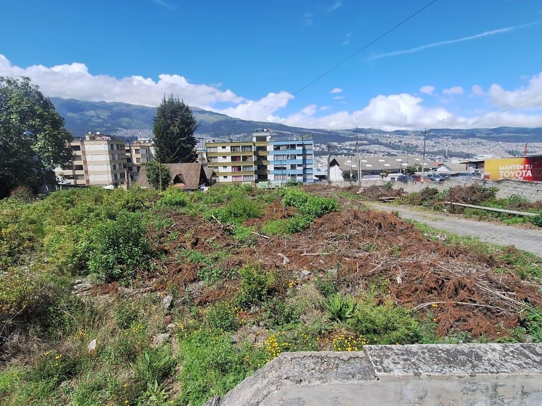 Land in Quito, Pichincha, Ecuador 1 - 18016798