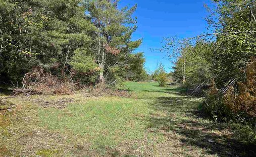 Terreno en Petoskey, Míchigan, Estados Unidos 1