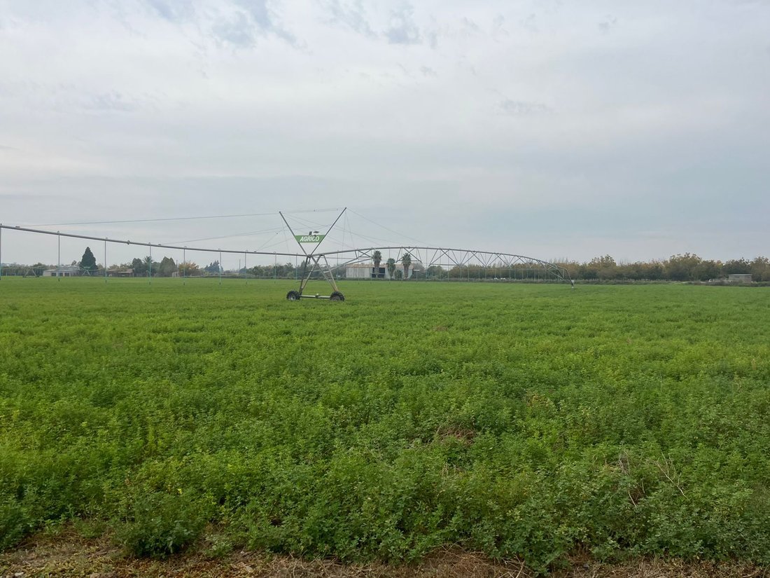 Farm Ranch in Siyancuma Local Municipality, Northern Cape, South Africa 1 - 18018226