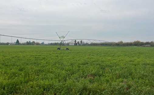 Azienda agricola a Douglas, Provincia del Capo Settentrionale, Sudafrica 1