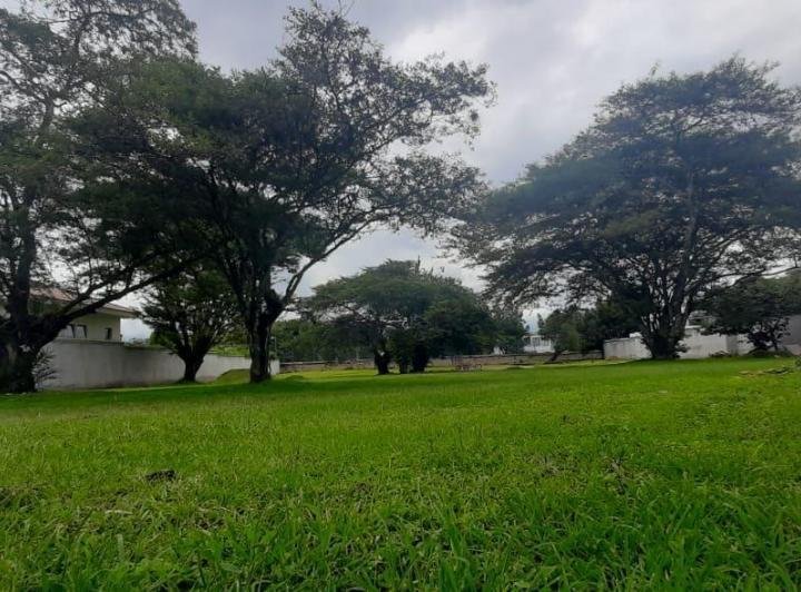 Land in Quito, Pichincha, Ecuador 4 - 18016782