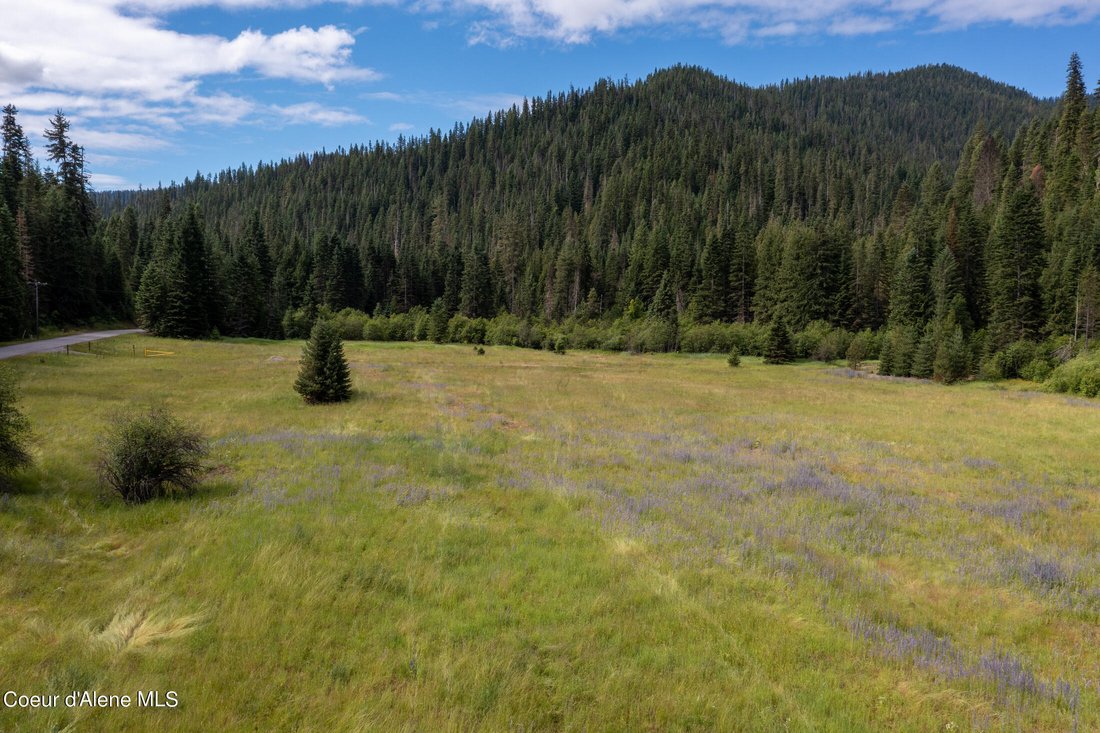 Terrain à Wallace, Idaho, États-Unis 5 - 18017655