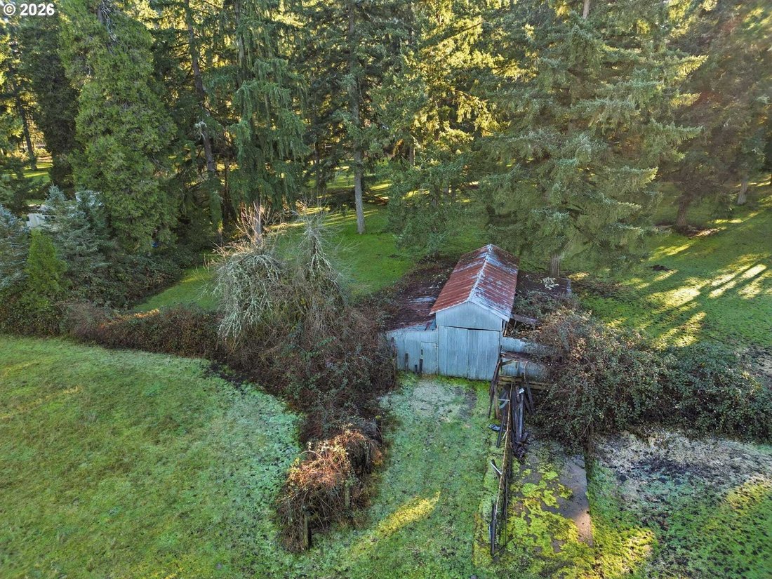 Land in Fall Creek, Oregon, United States 5 - 18019108