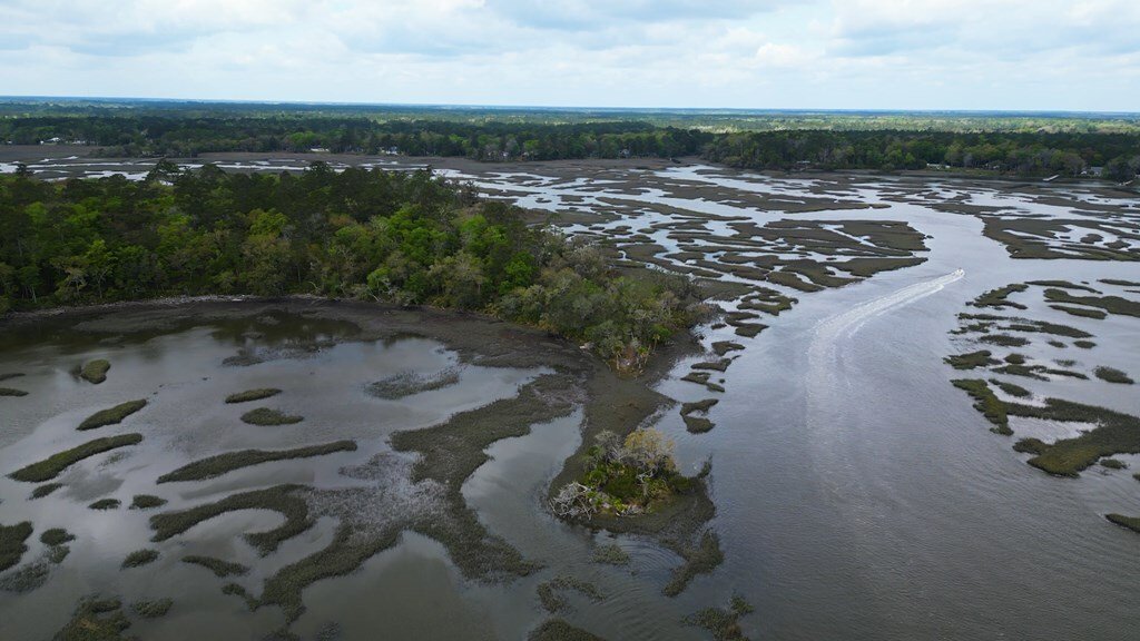 Land in Woodbine, Georgia, United States 5 - 18017569