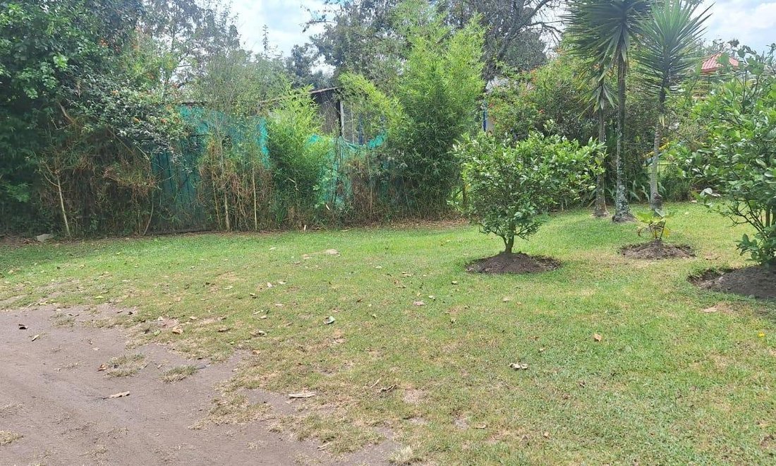 Land in Quito, Pichincha, Ecuador 5 - 18016769