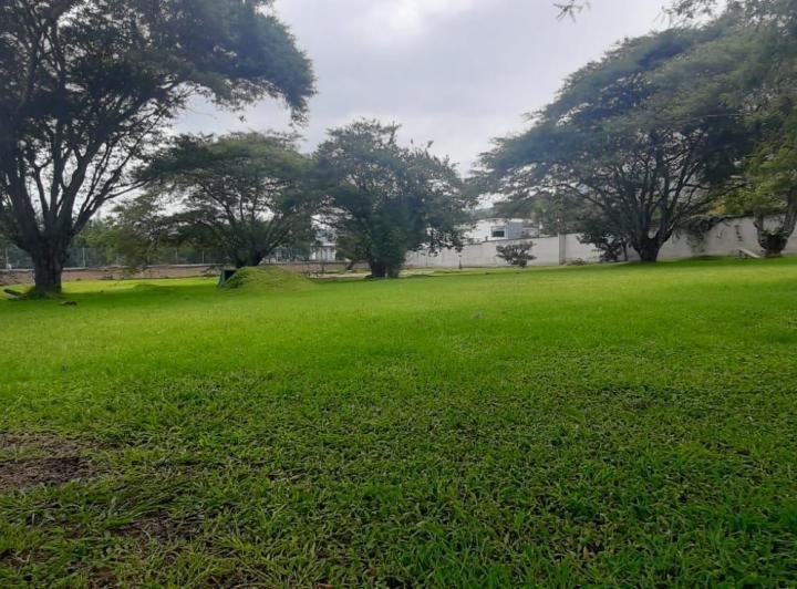 Land in Quito, Pichincha, Ecuador 1 - 18016782
