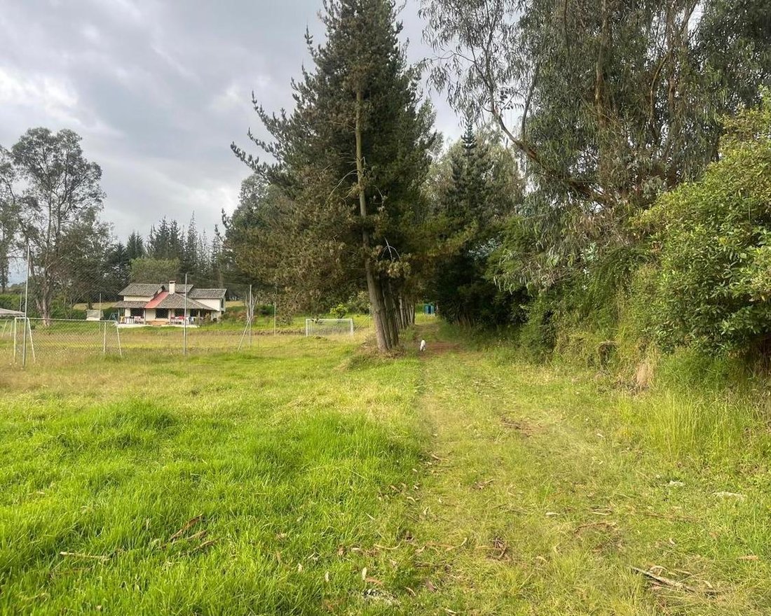 Land in Quito, Pichincha, Ecuador 4 - 18016729