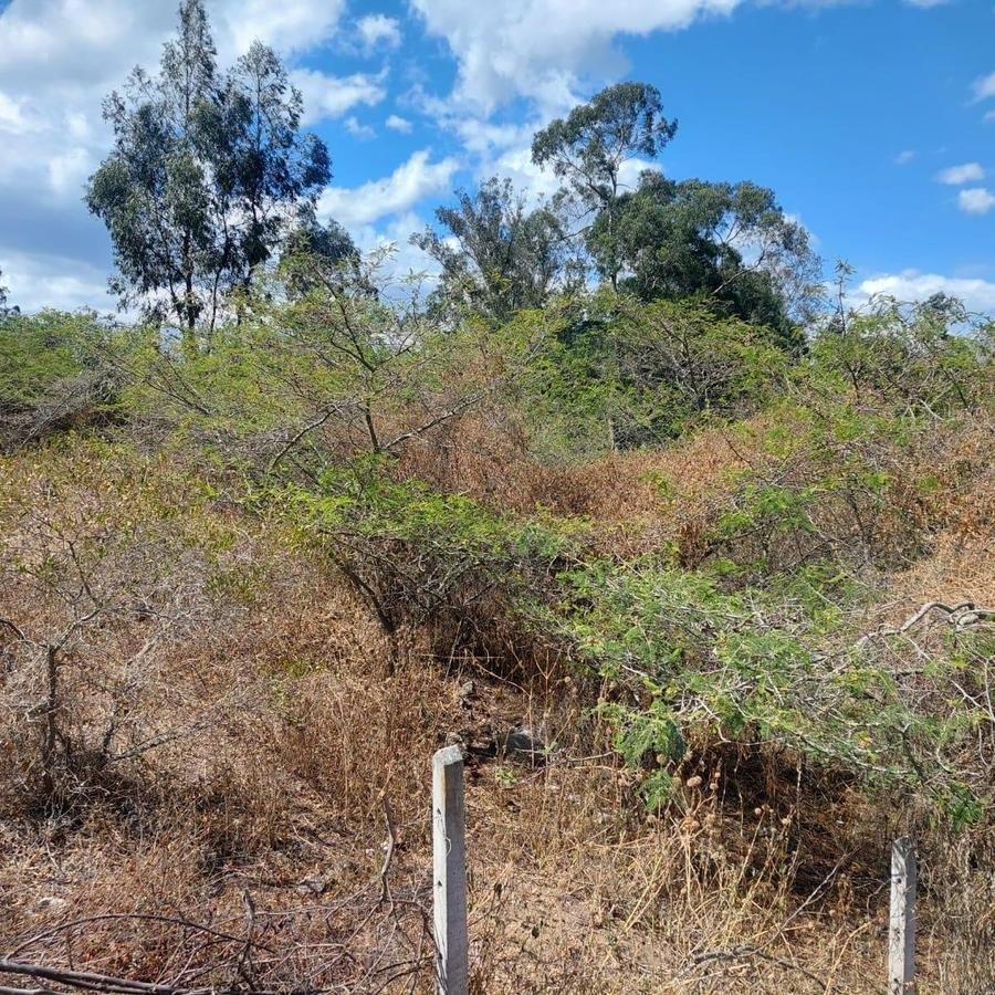 Land in Quito, Pichincha, Ecuador 4 - 18016766