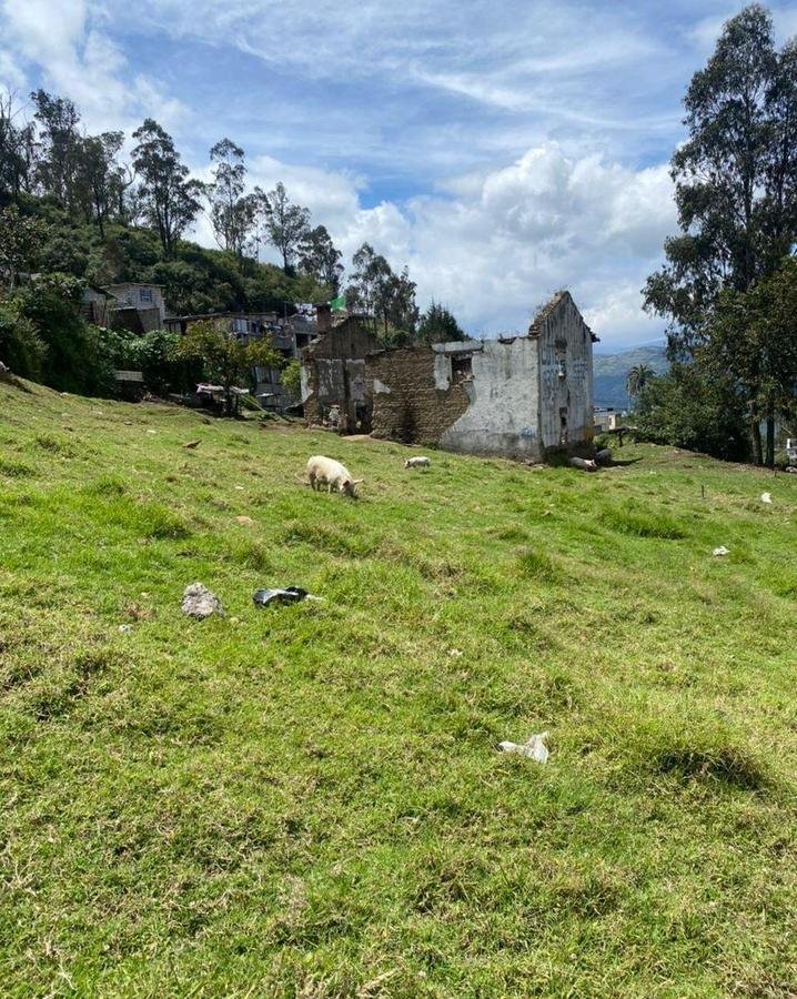 Land in Quito, Pichincha, Ecuador 3 - 18016770